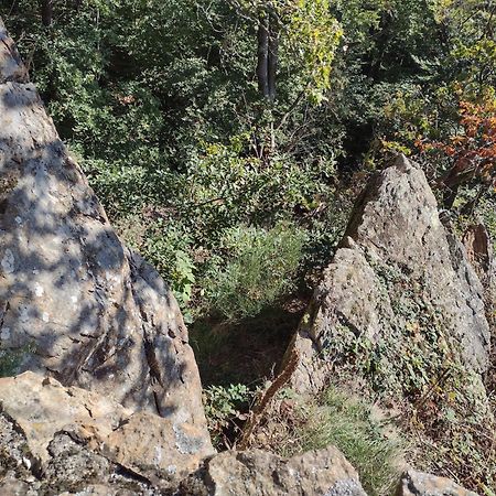 블랑켄부르크 "Kleinstes Haus Von Blankenburg" Urlaub In Einem Einzigartigen Baudenkmal 빌라 외부 사진