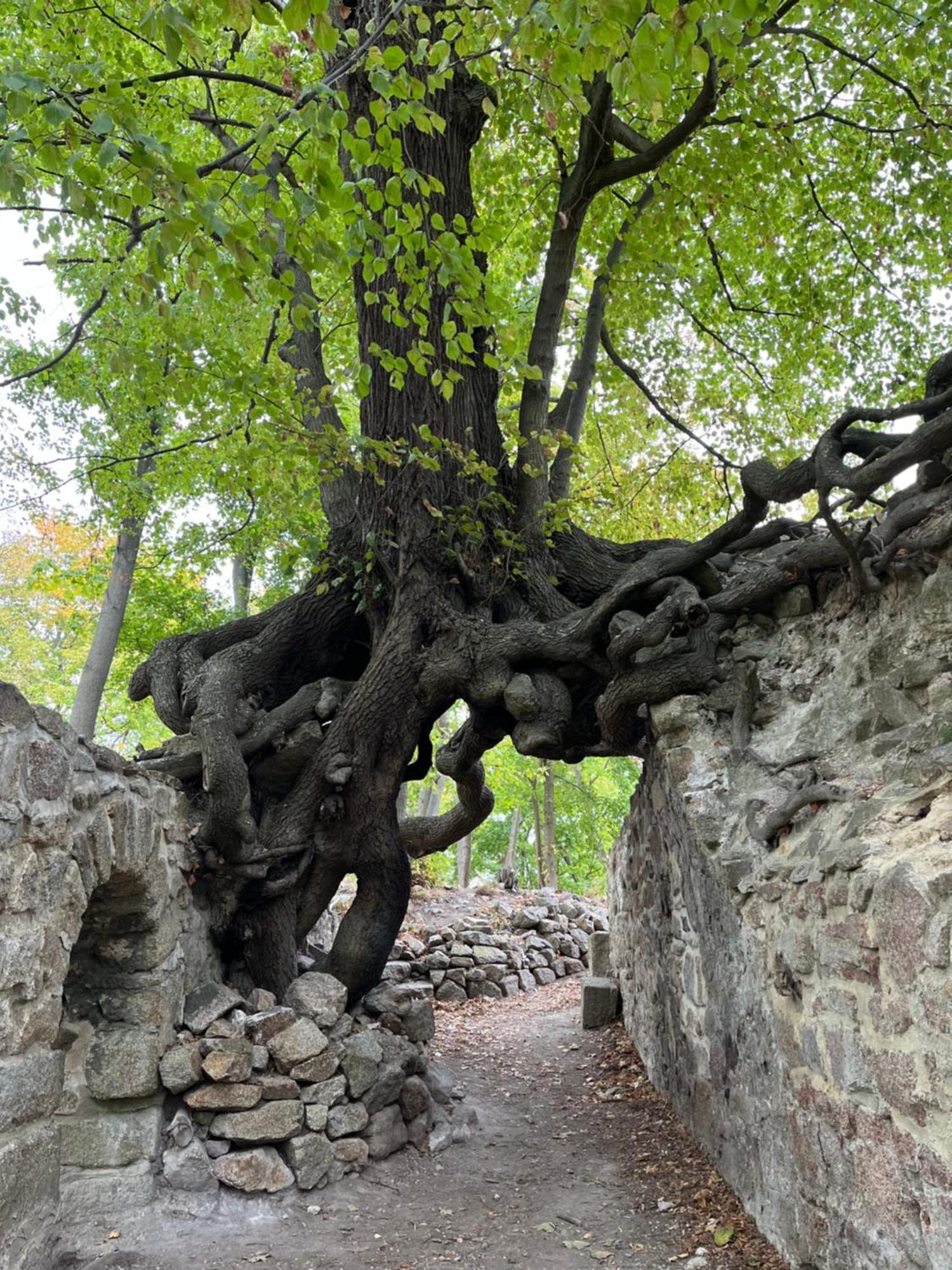 블랑켄부르크 "Kleinstes Haus Von Blankenburg" Urlaub In Einem Einzigartigen Baudenkmal 빌라 외부 사진